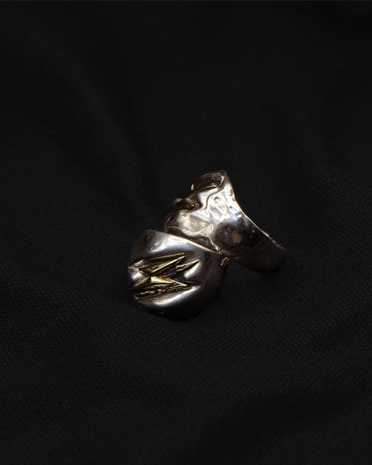 Thunder Ring - 0002 - BEV C multi label store