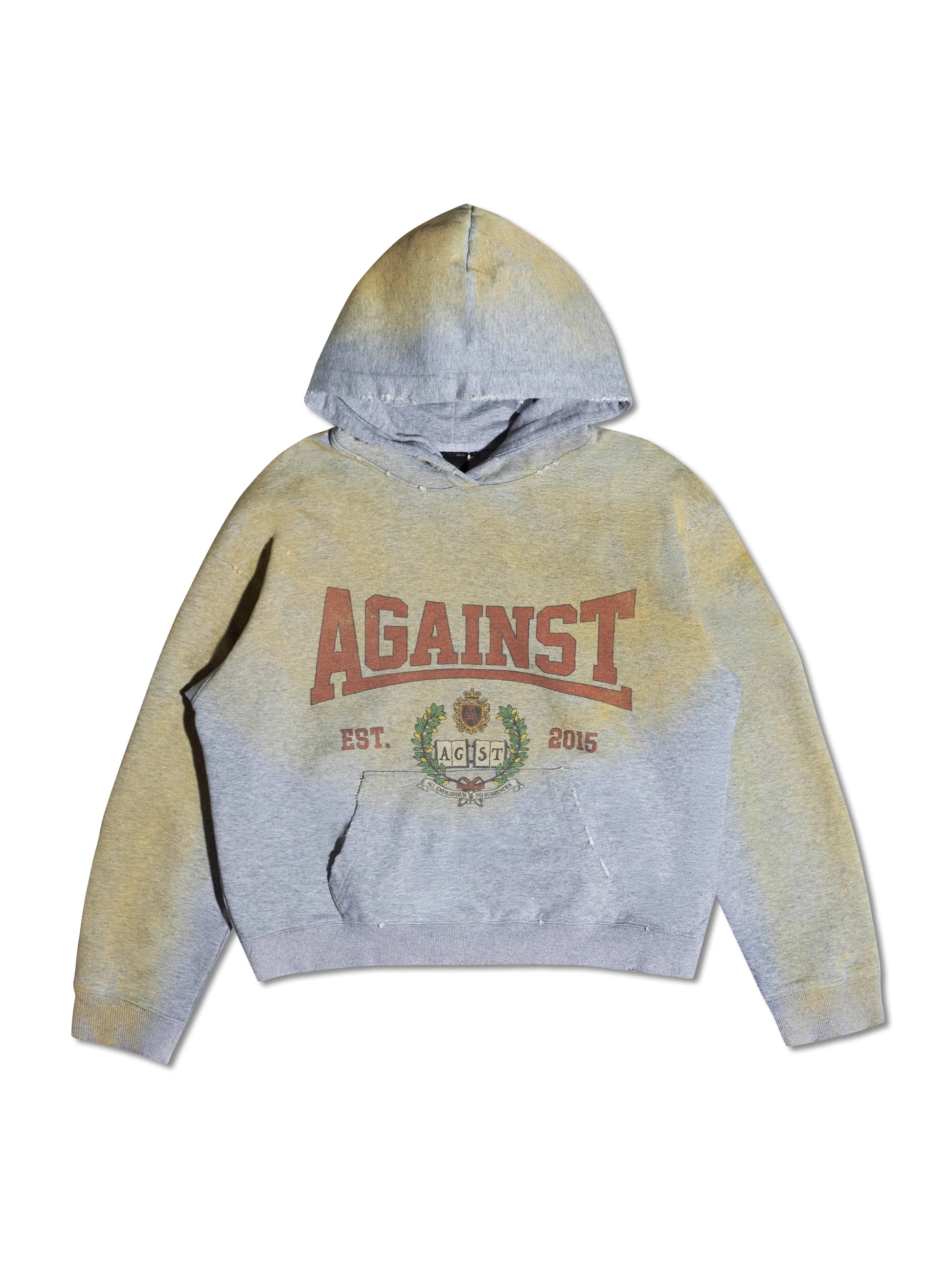 DISTRESSED VARSITY HOODIE GREY - BEV C multi label store