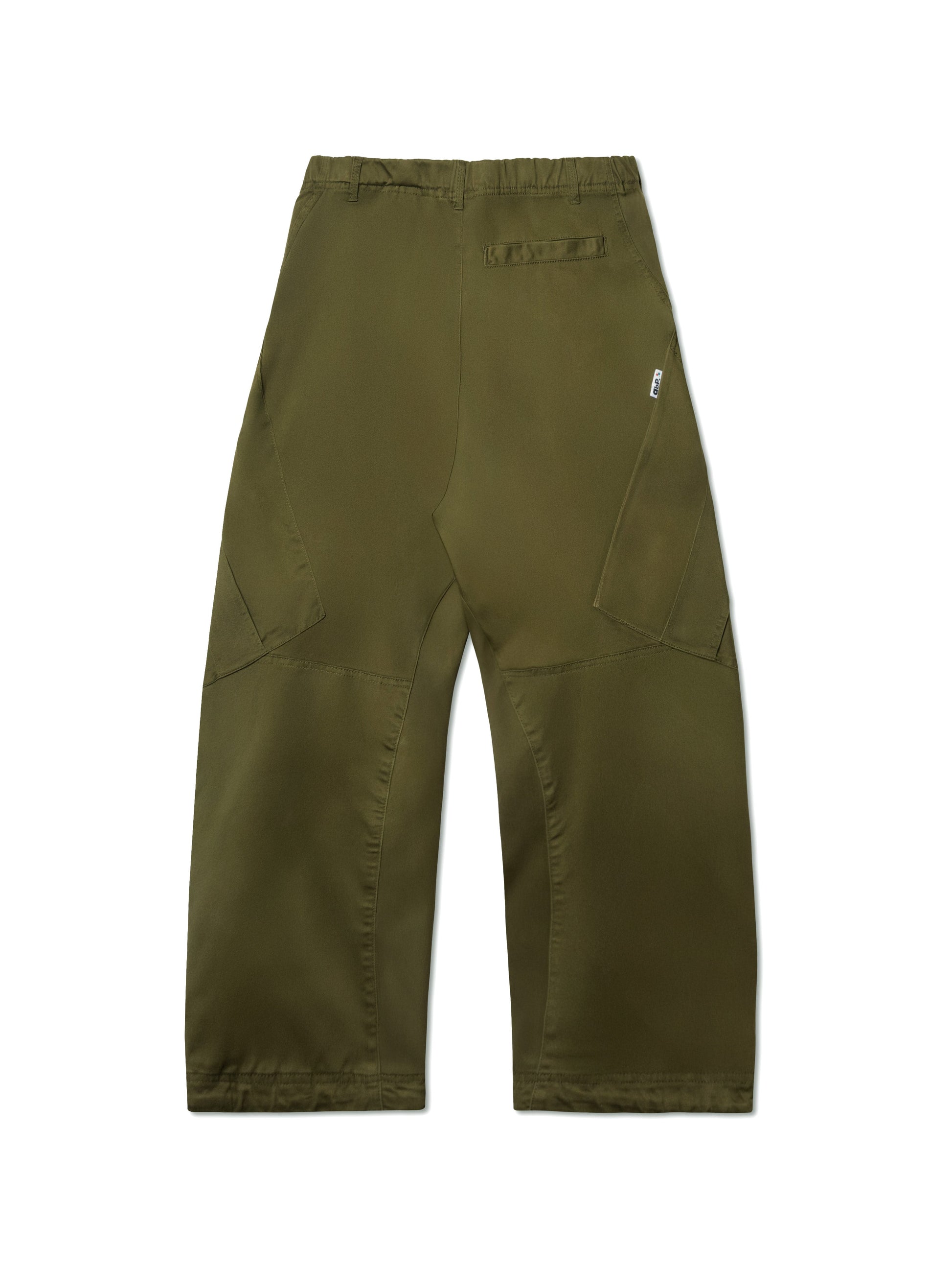 abp. CARGO BIGGIE PANT OLIVE - BEV C multi label store