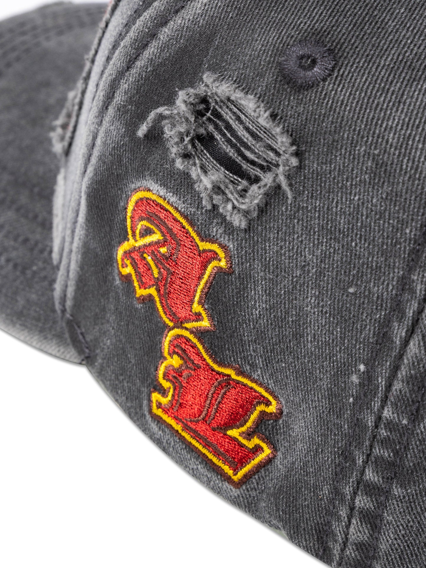 BIG BULLY VARSITY CAP - BEV C multi label store