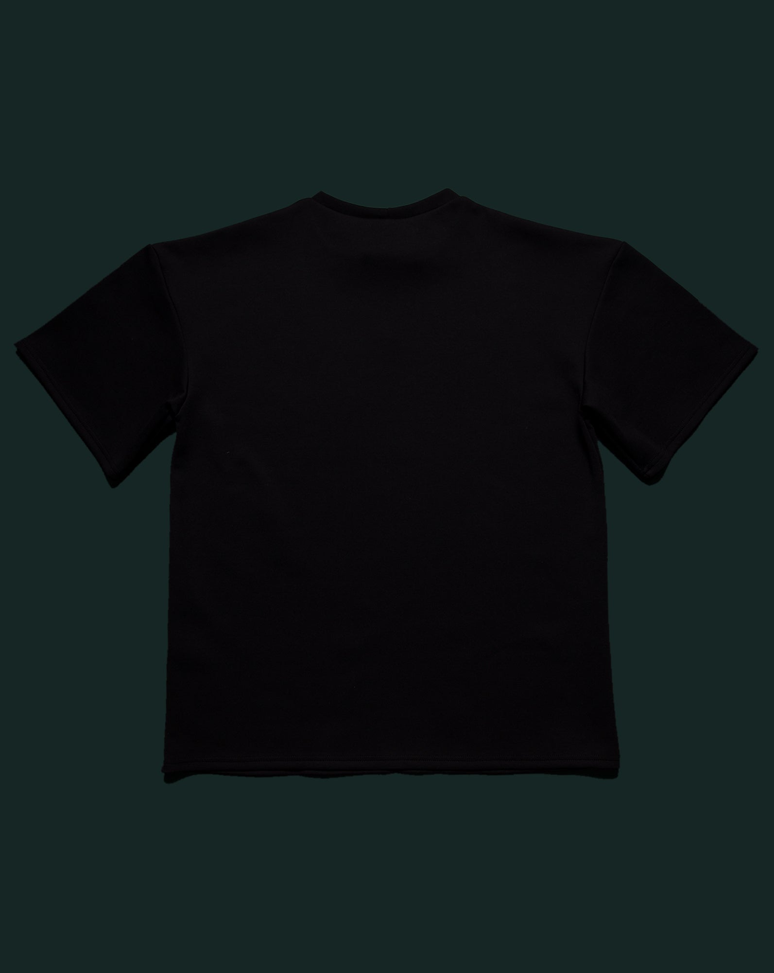 Pose Tee (Black) - BEV C multi label store