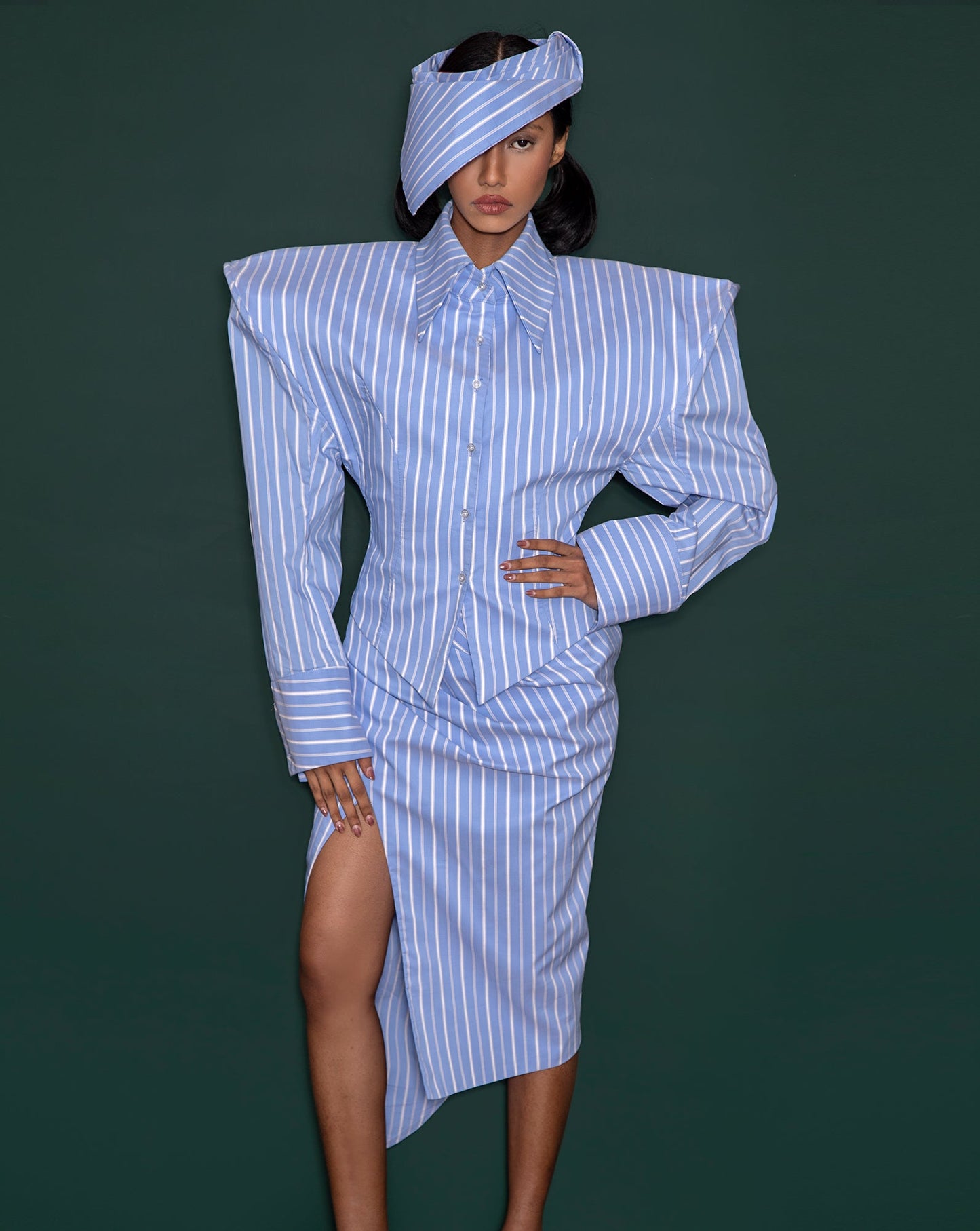 Skirt (Blue White Thick Pinstripes) - BEV C multi label store