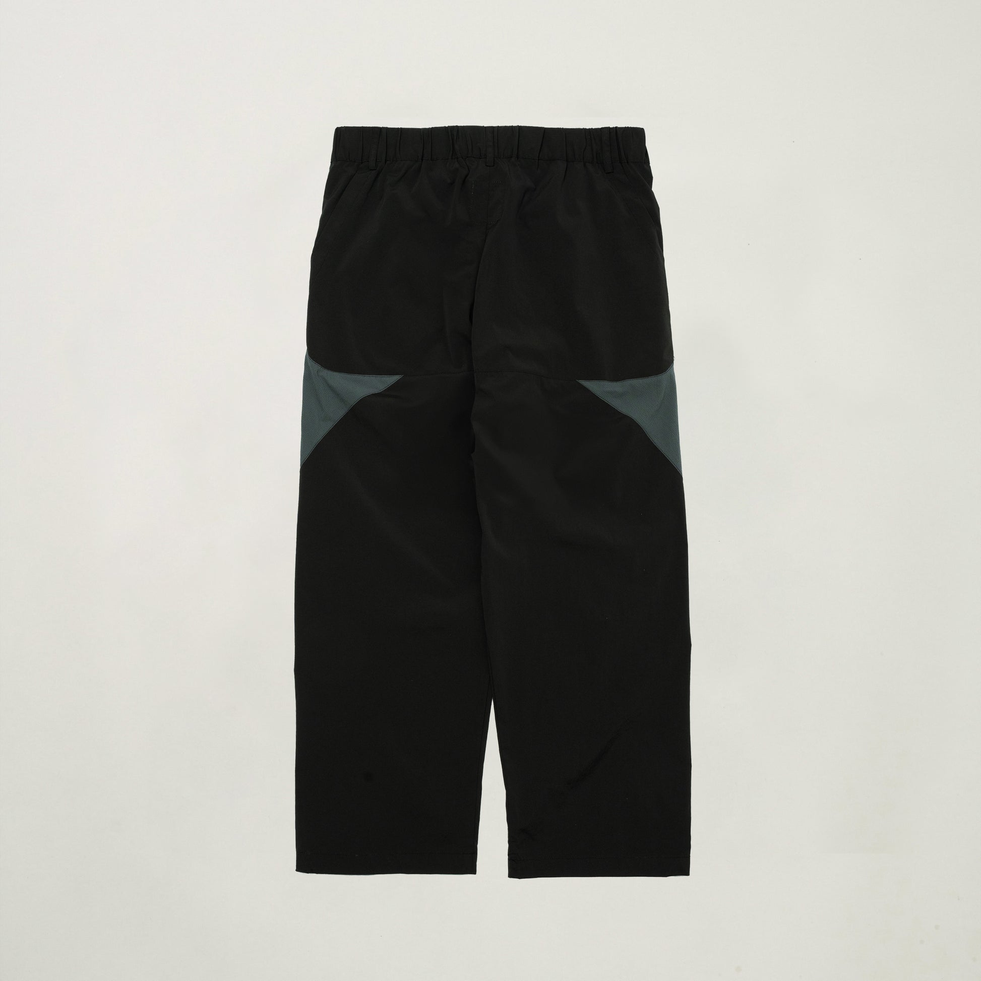 Wanderer Easy Pants V2 (Black) - BEV C multi label store