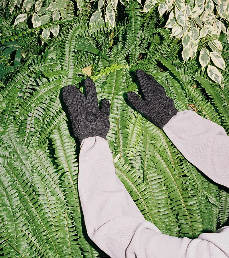 Black - WHOLEGARMNET Tabi gloves - BEV C multi label store